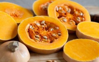 autumn squash pumpkin