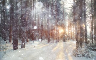 ashery snowy day