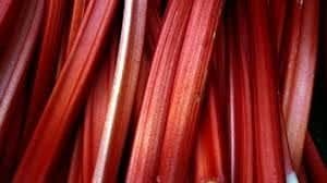 rhubarb punch