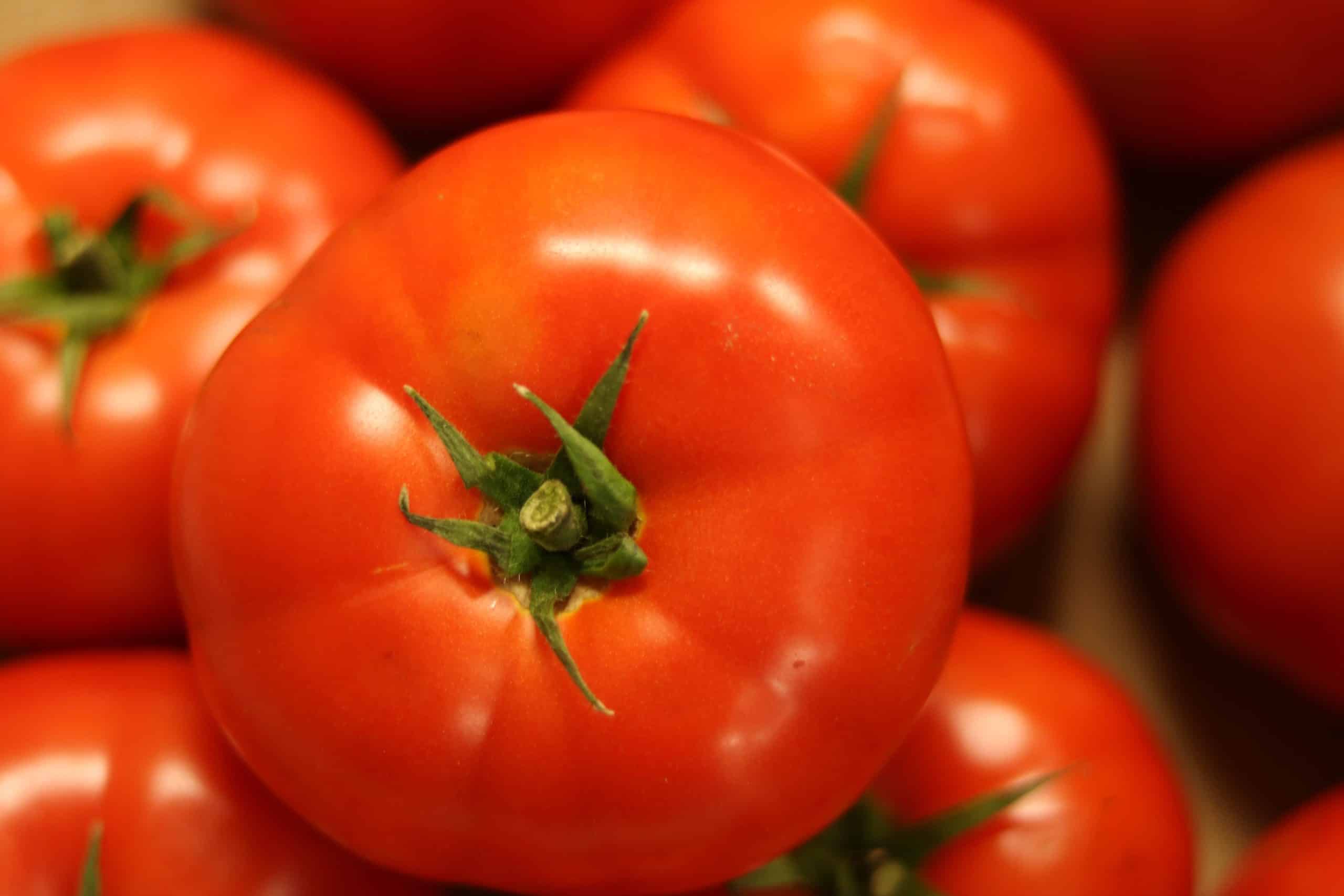 Fresh Seasonal Produce Columbus Ohio
