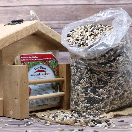 Bird Seed