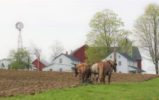 Horses plowing a field with a traditional farm and windmill in the background.