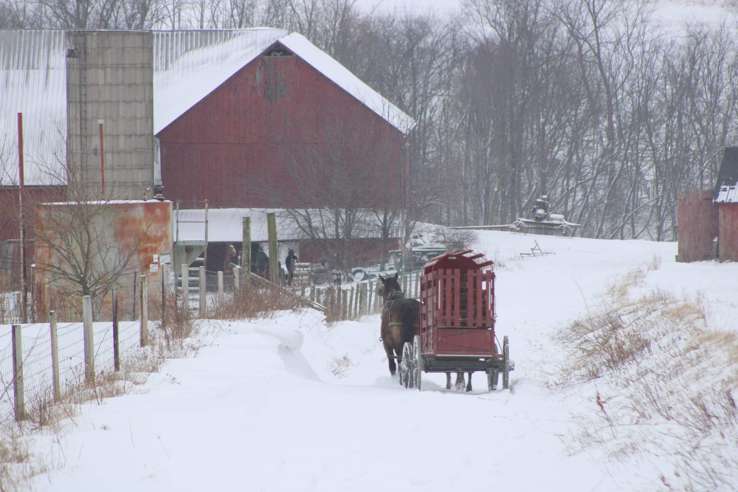 A snowy winter scene with a red barn in the background and a horse and wagon in the foreground.