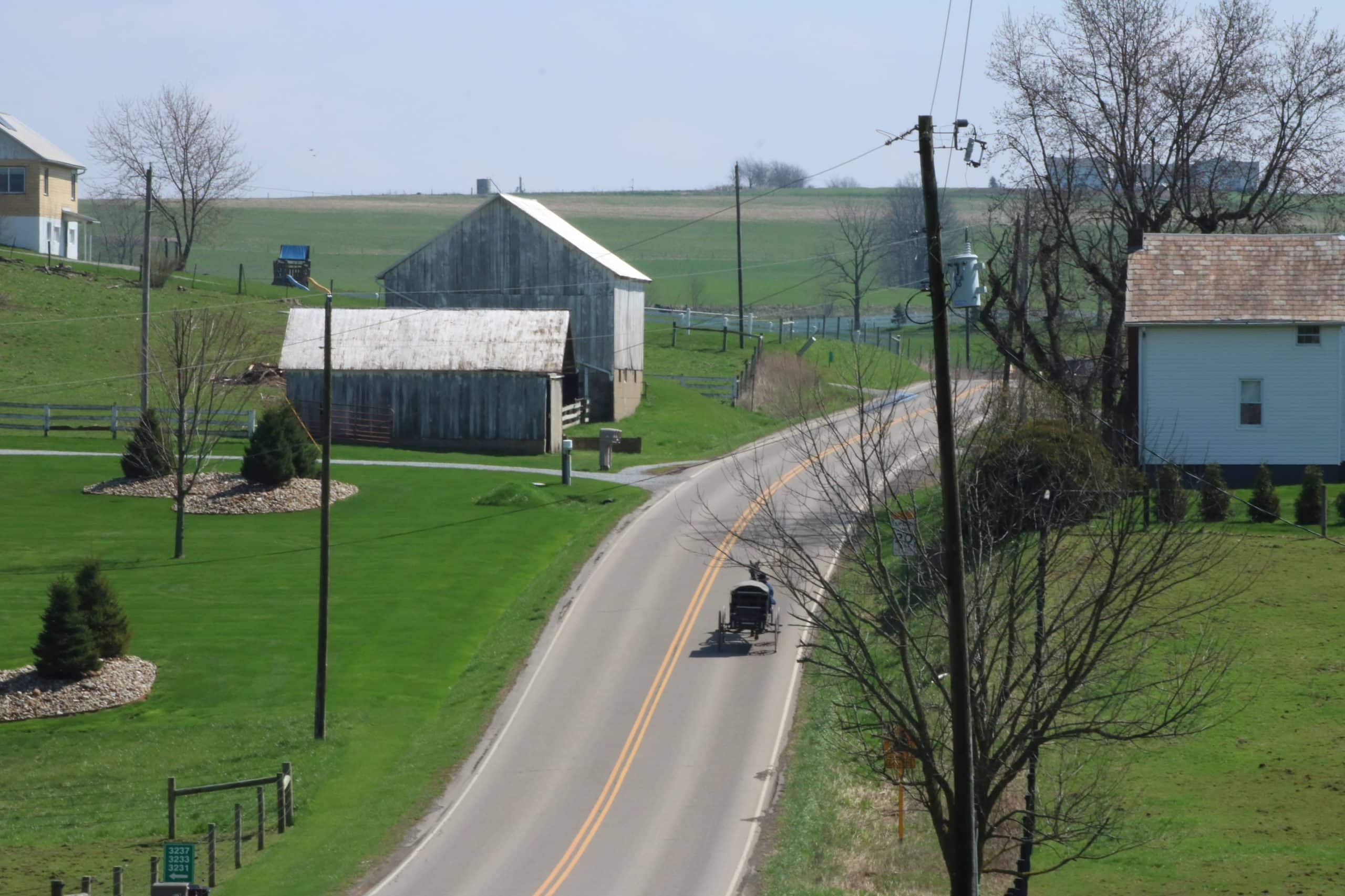 Country road with a horse and buggy on it and an Amish farm beside it.