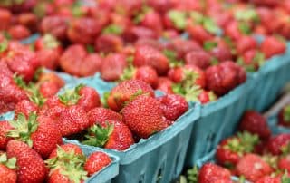 Fresh strawberries in blue quart containers.